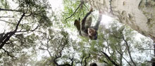 motivational videos, inspirational videos, Parkour, Land Rover