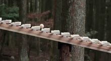 Bach's Cantata No 147 being played in the woods as a xylophone by a rolling ball to promote the Docomo cell phone.