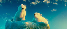 Polar Bears story about being yourself, inspired by an animated polar bear family